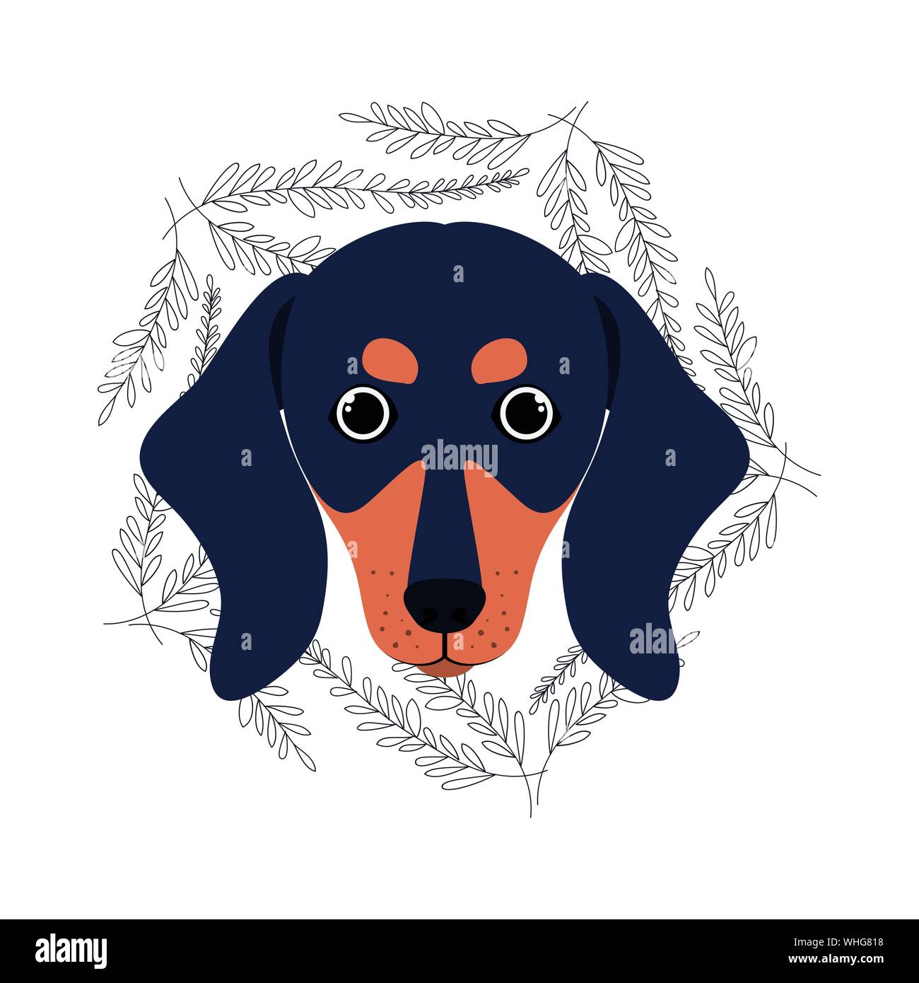 head of cute dachshund dog on white background Stock Vector Image & Art ...