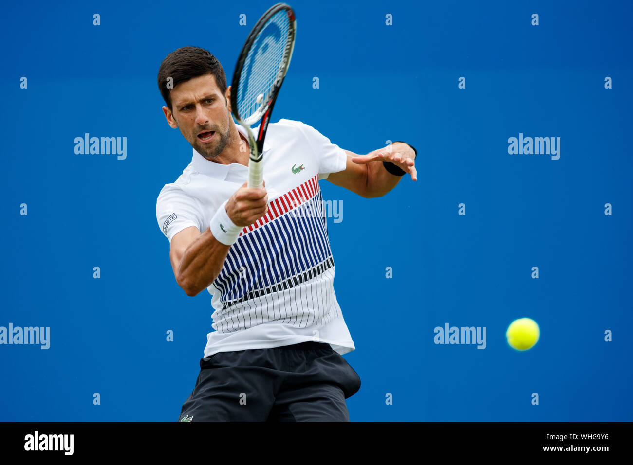 Novak Djokovic of Serbia in action playing single handed forehand against Daniil Medvedev of Russia. Aegon International 2017- Eastbourne - England - Stock Photo