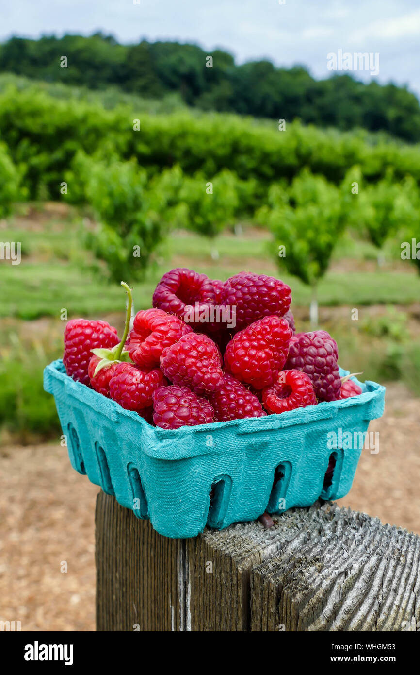 Stack container hi-res stock photography and images - Alamy
