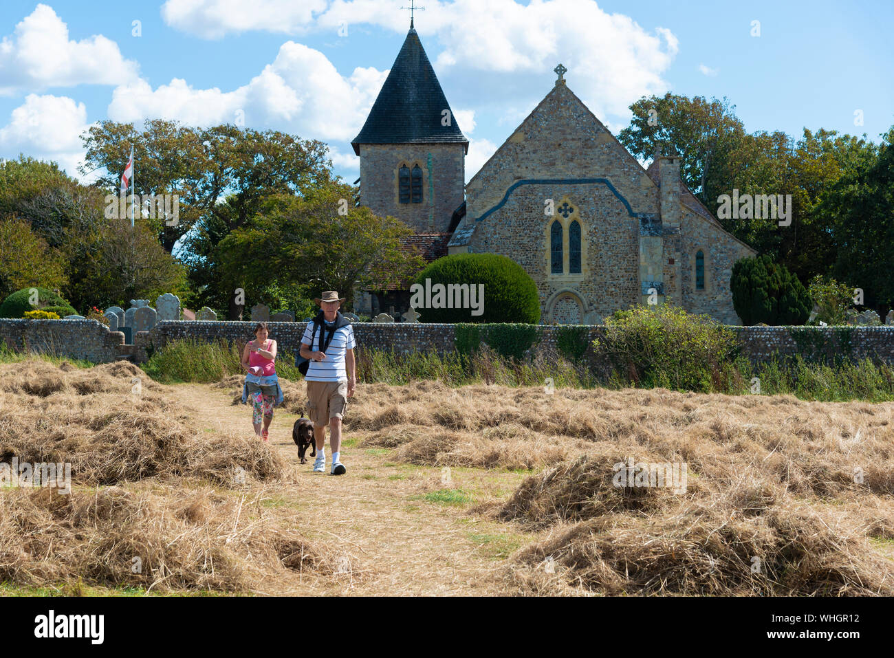 Dog walkers strolling through a hayfield in front of the Norman church of  St Peter and St Paul at West Wittering,West Sussex, England,UK Stock Photo