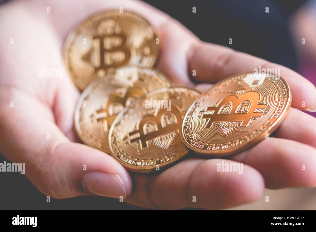 Cropped Hand Of Person Holding Bitcoins Stock Photo