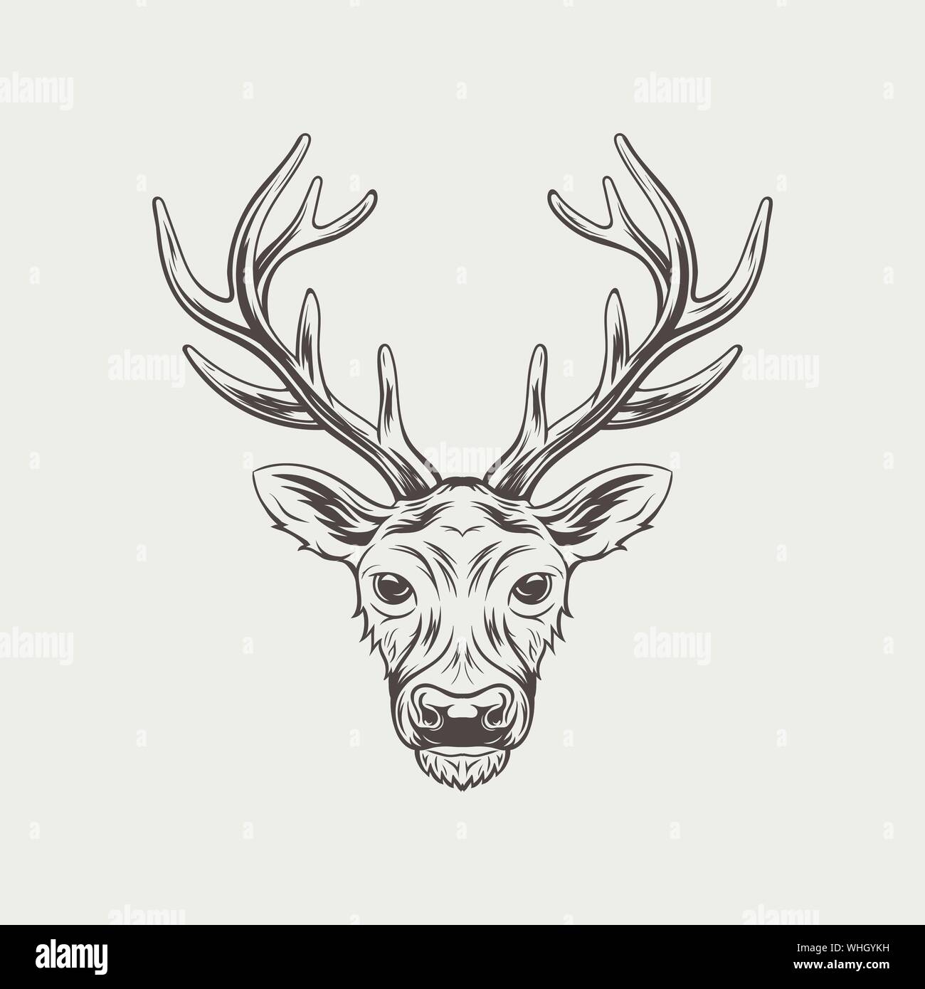 Deer head isolated on white background vector illustration Stock Vector ...