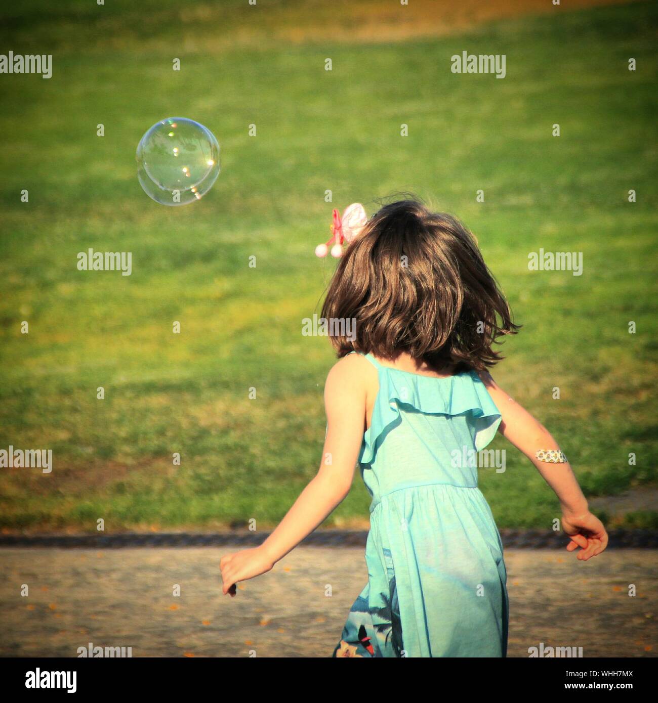 Rear view three little girls hi-res stock photography and images - Alamy