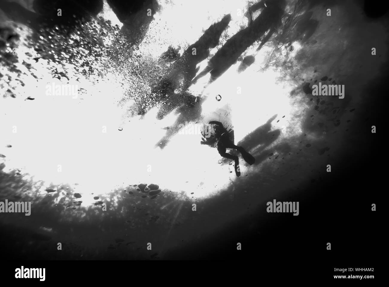Person underwater Black and White Stock Photos & Images Alamy