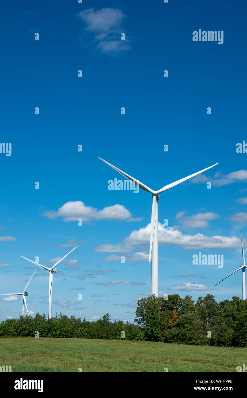Wind turbines at a wind farm with blue sky Stock Photo - Alamy