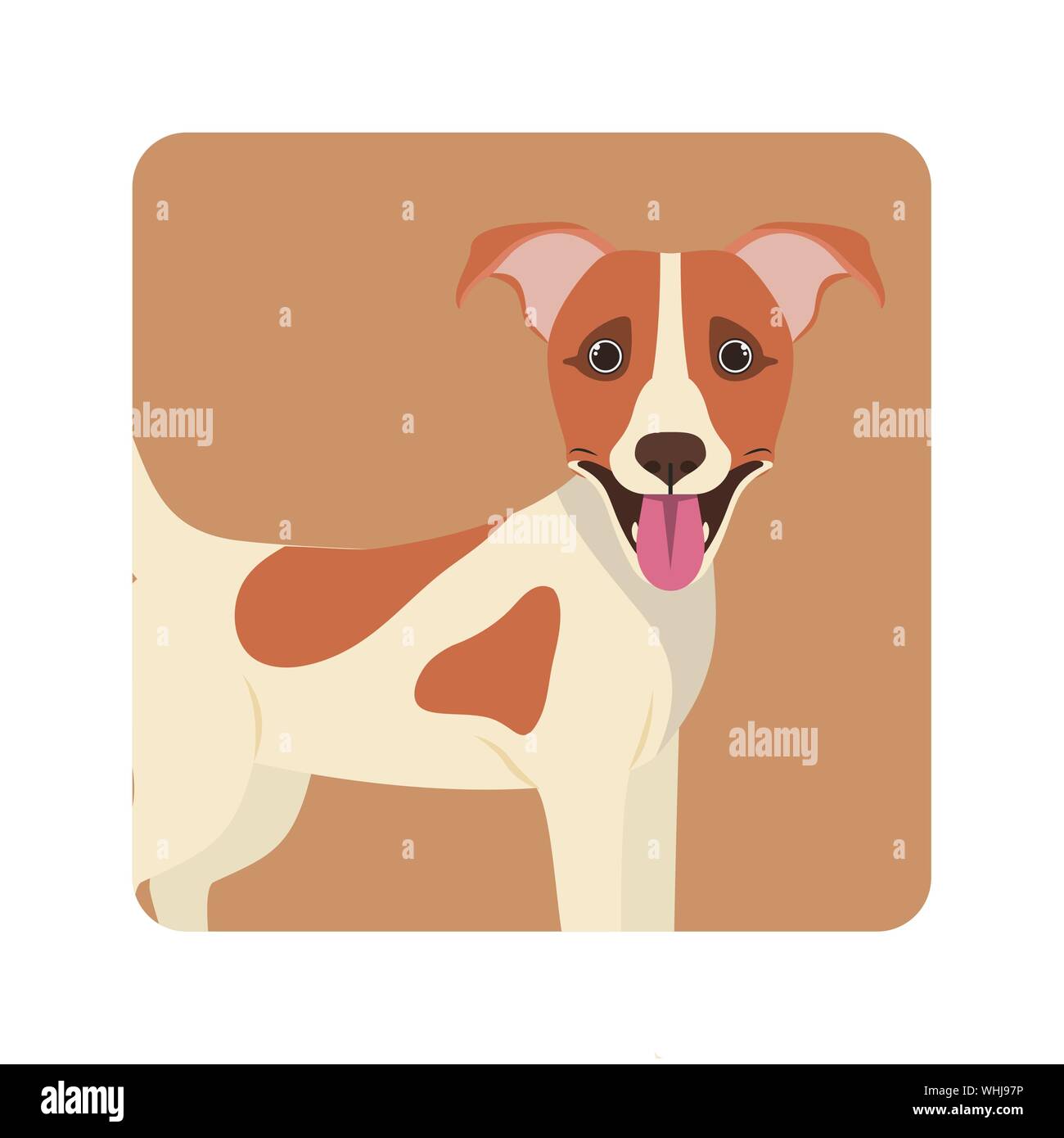 cute jack russell rerrier dog on white background Stock Vector Image ...