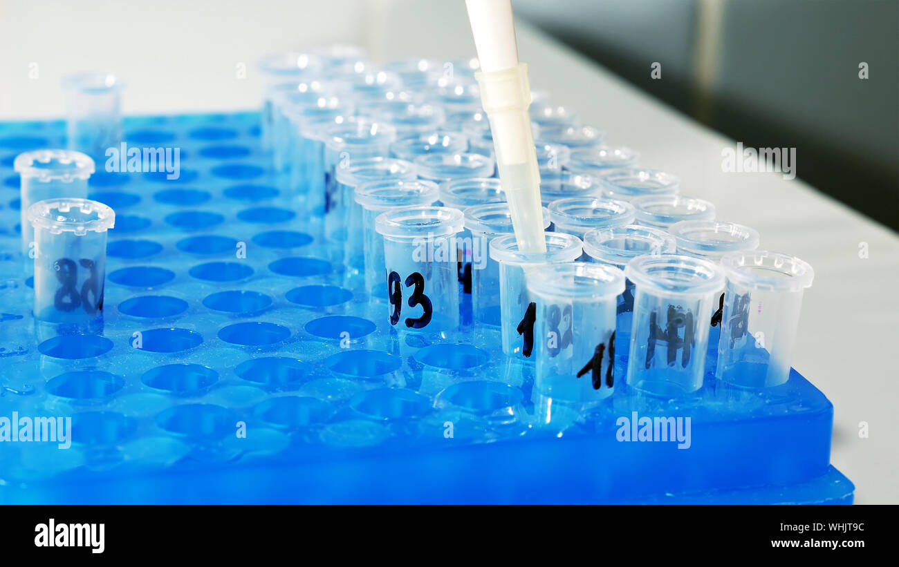 Test tubes in a rack hires stock photography and images Alamy