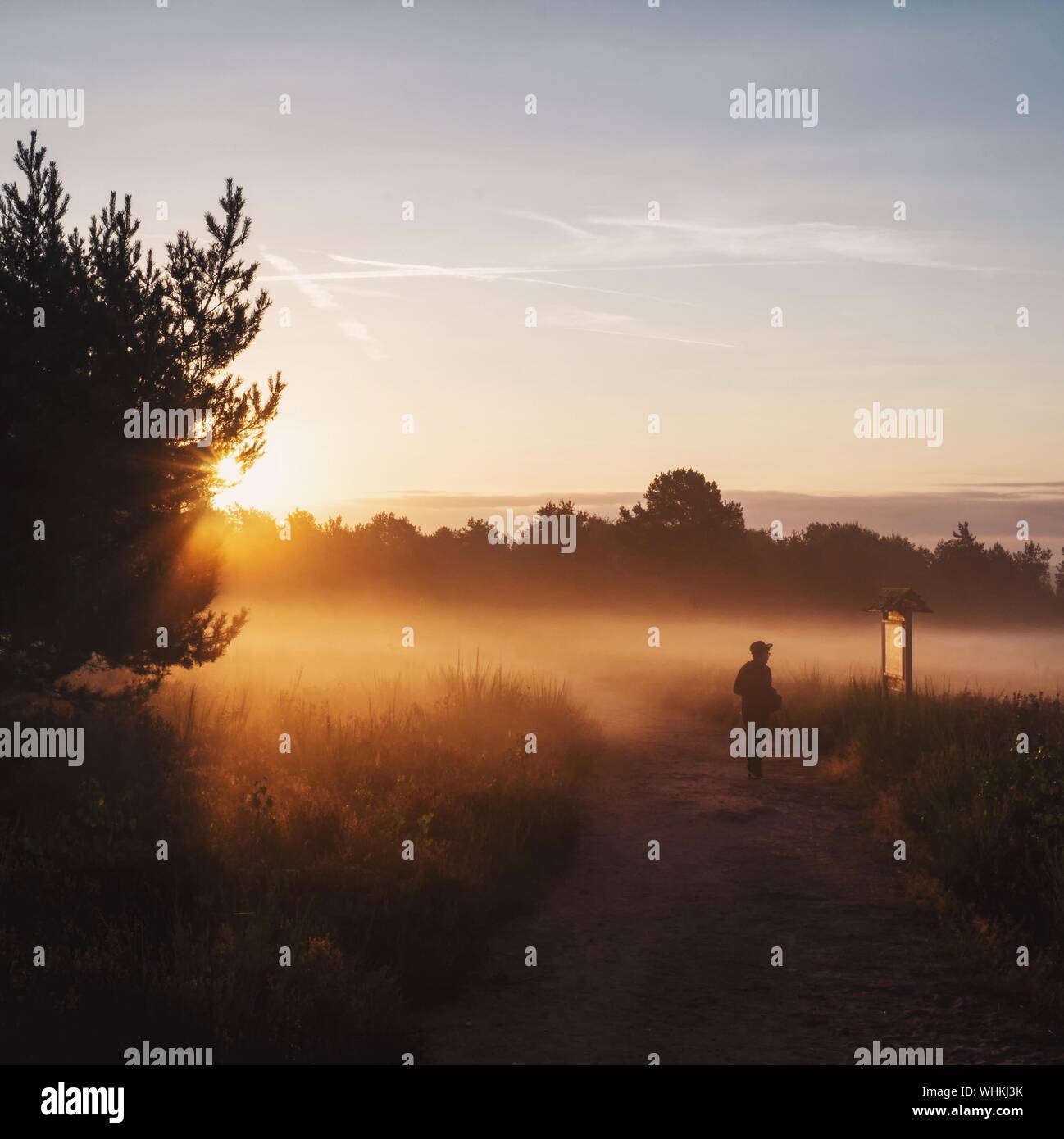 Road with fog at sunrise hi-res stock photography and images - Alamy