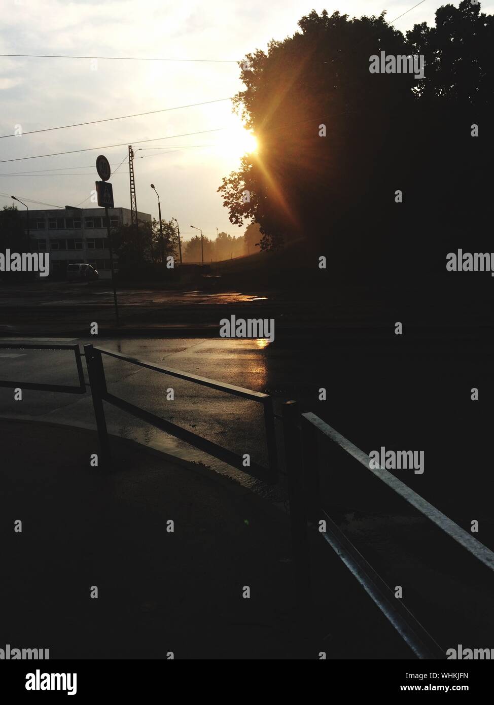 Railing By Street And Silhouette Tree During Sunset Stock Photo - Alamy