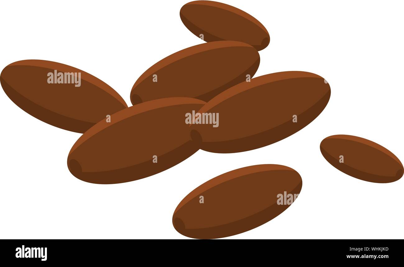 Cocoa nuts icon, isometric style Stock Vector