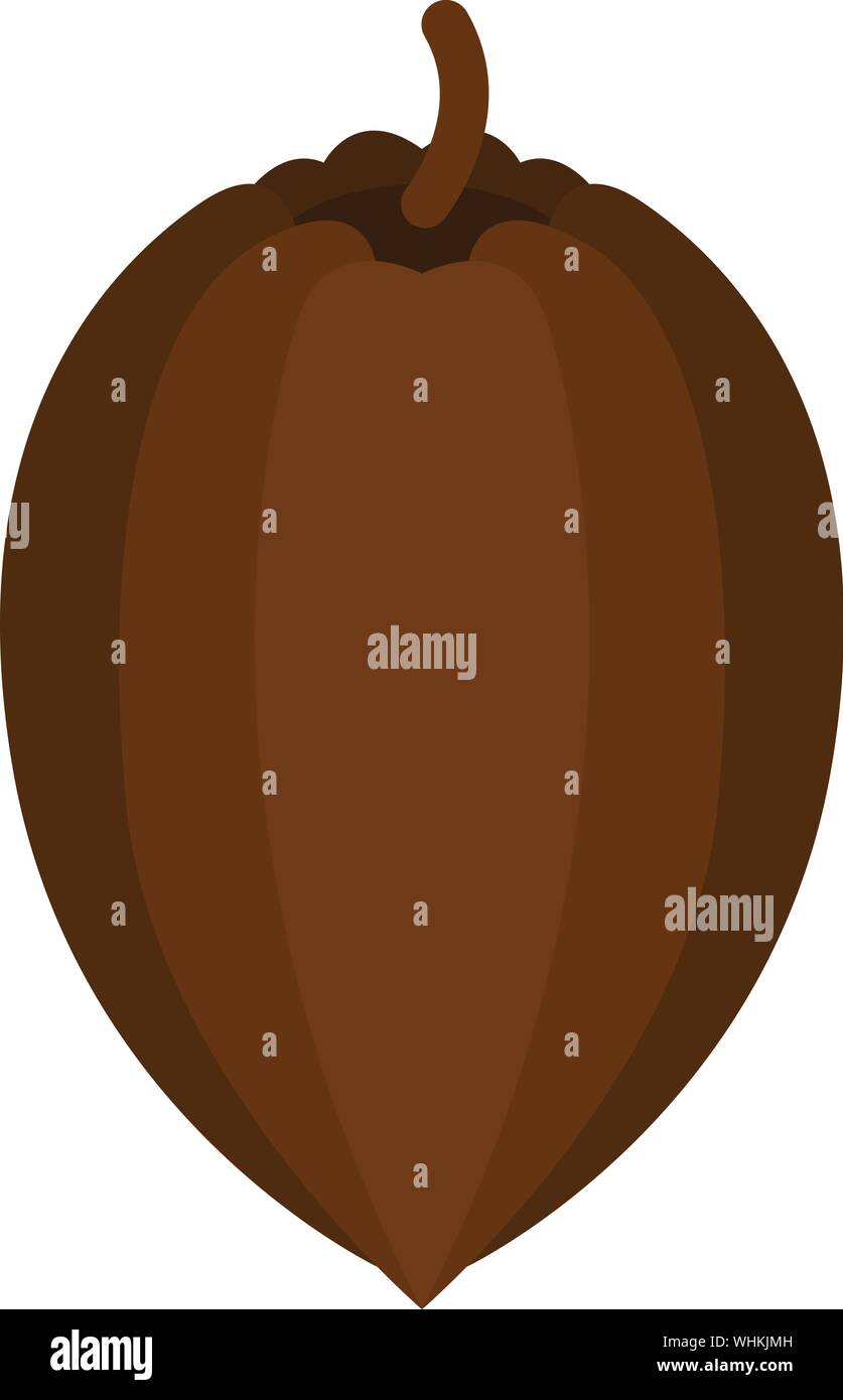 Cocoa fruit icon, isometric style Stock Vector