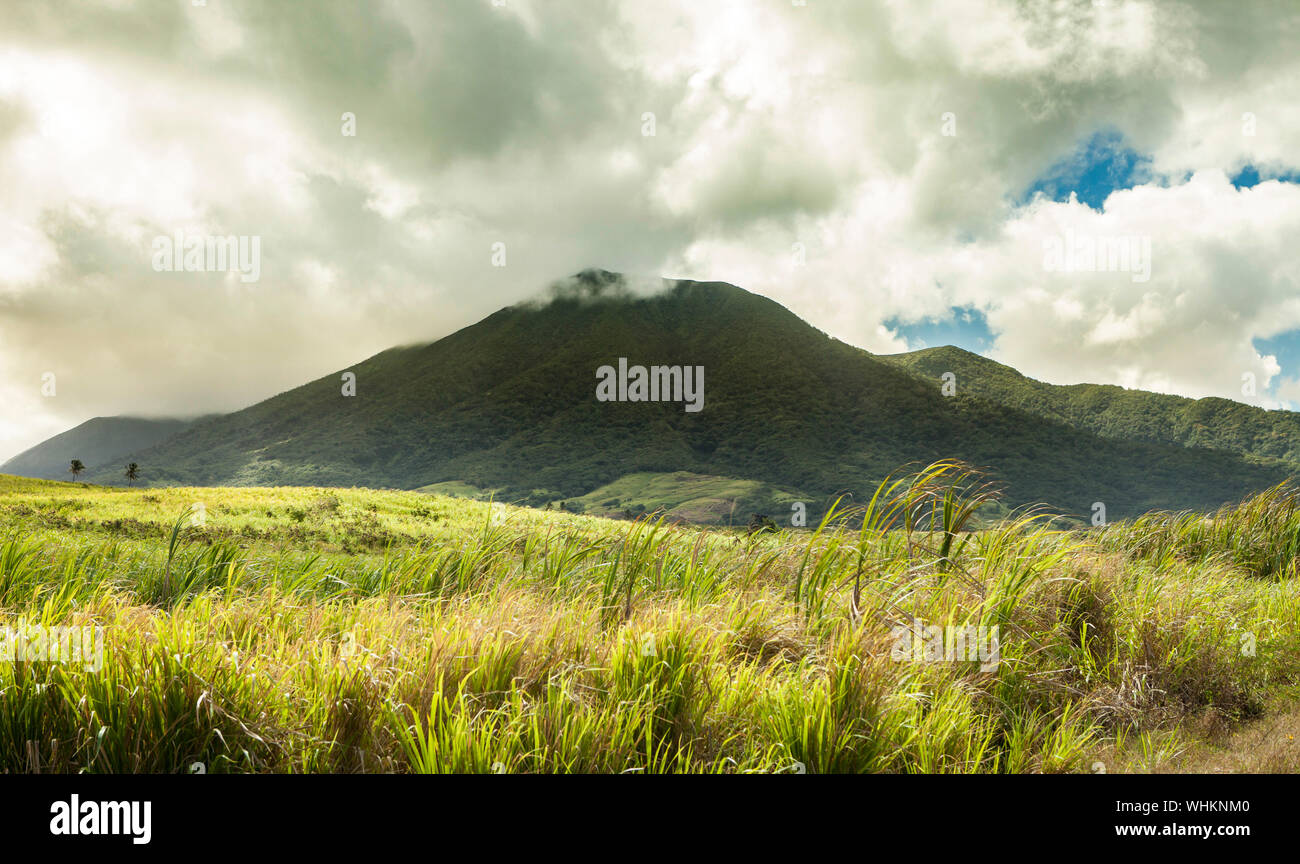 The volcano of Mt Liamuiga on St Kitts, in the Caribbean Stock Photo