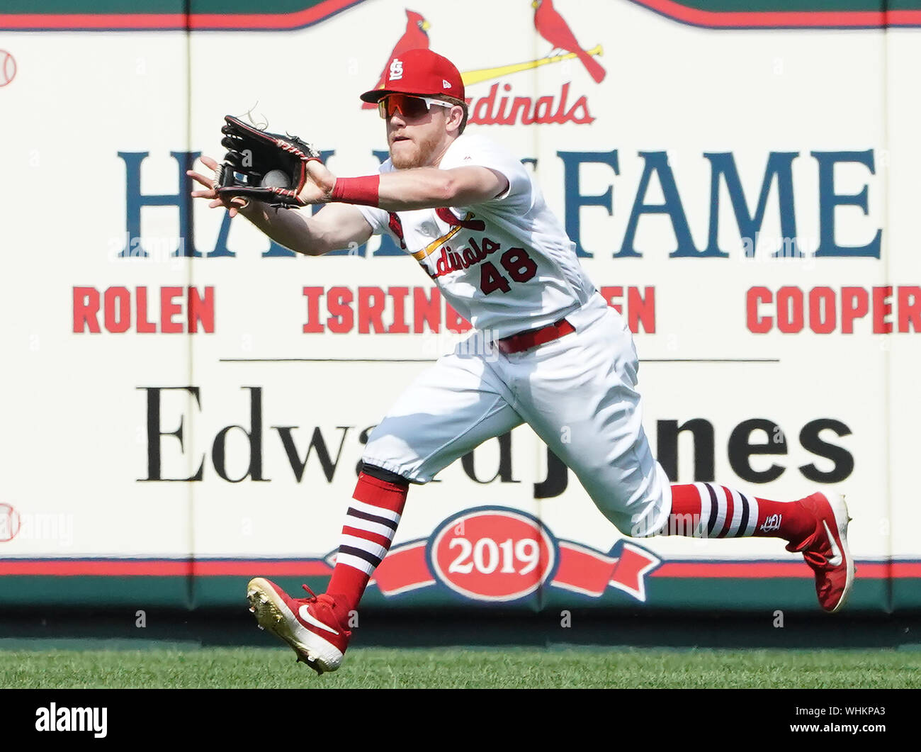 St. Louis, United States. 02nd Sep, 2019. St. Louis Cardinals Harrison Bader makes a running catch on a ball for an out, off the bat of San Francisco Giants Brandon Belt in the sixth inning at Busch Stadium in St. Louis on Monday, September 2, 2019. Photo by Bill Greenblatt/UPI Credit: UPI/Alamy Live News Stock Photo
