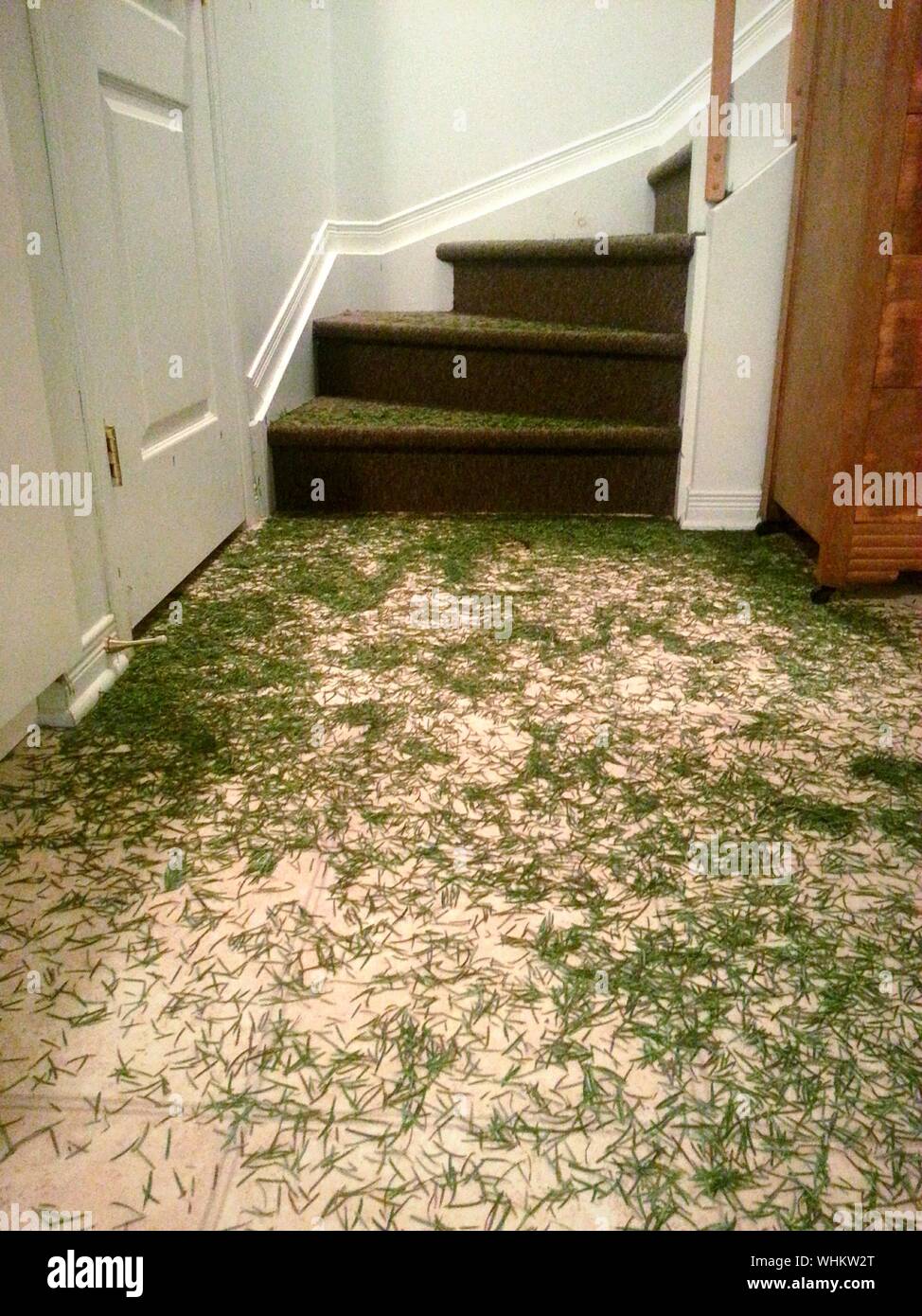 Spread grass hires stock photography and images Alamy