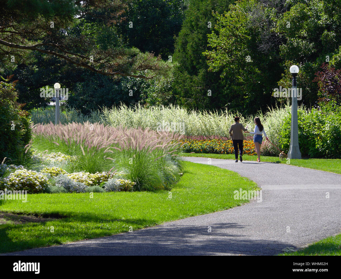 Two people walking a dog through a lush, late Summer Commissioners Park, Ottawa, Ontario, Canada. Stock Photo
