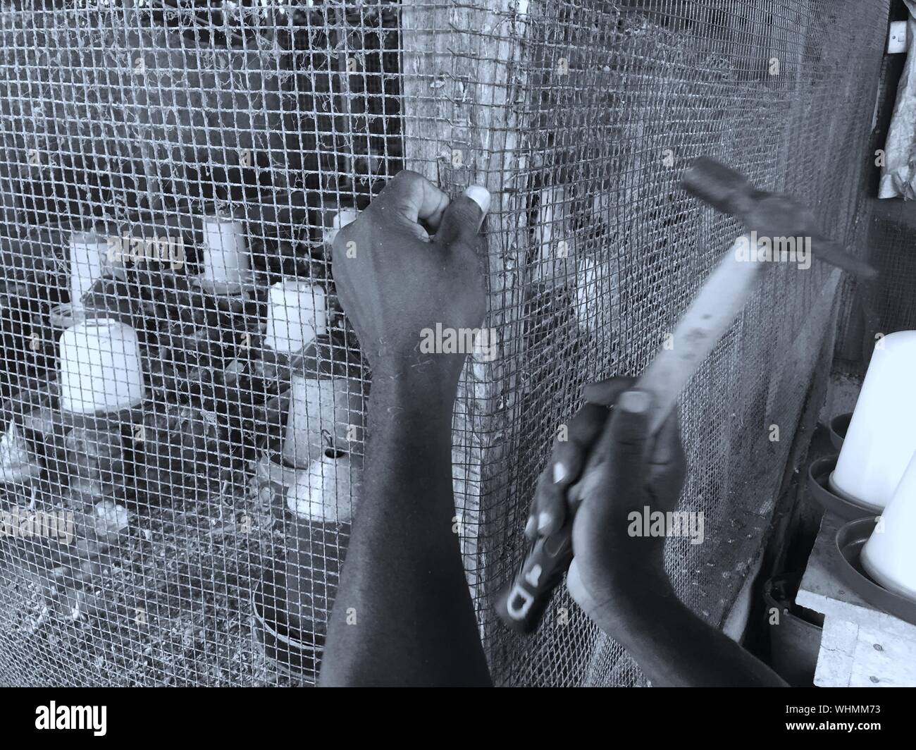 Human in cage hi-res stock photography and images - Alamy