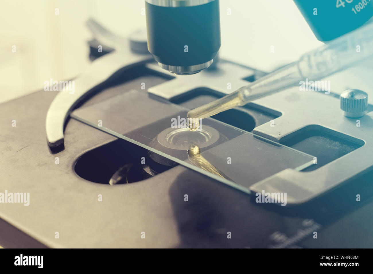 Microscope slide on microscope hires stock photography and images Alamy