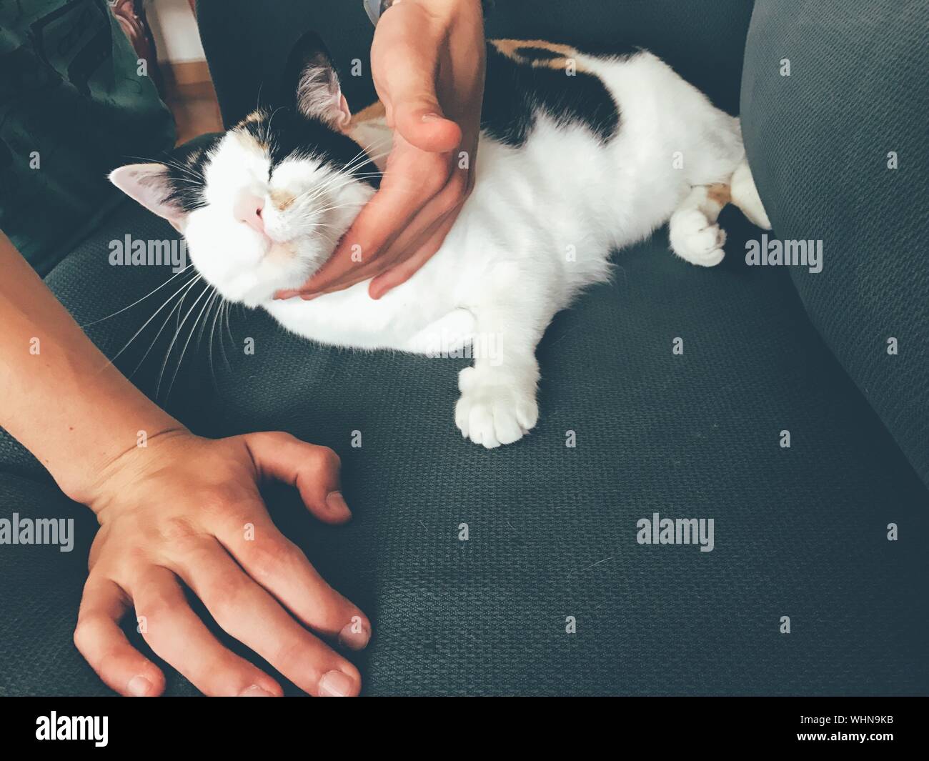 Atlanta Body Rubs