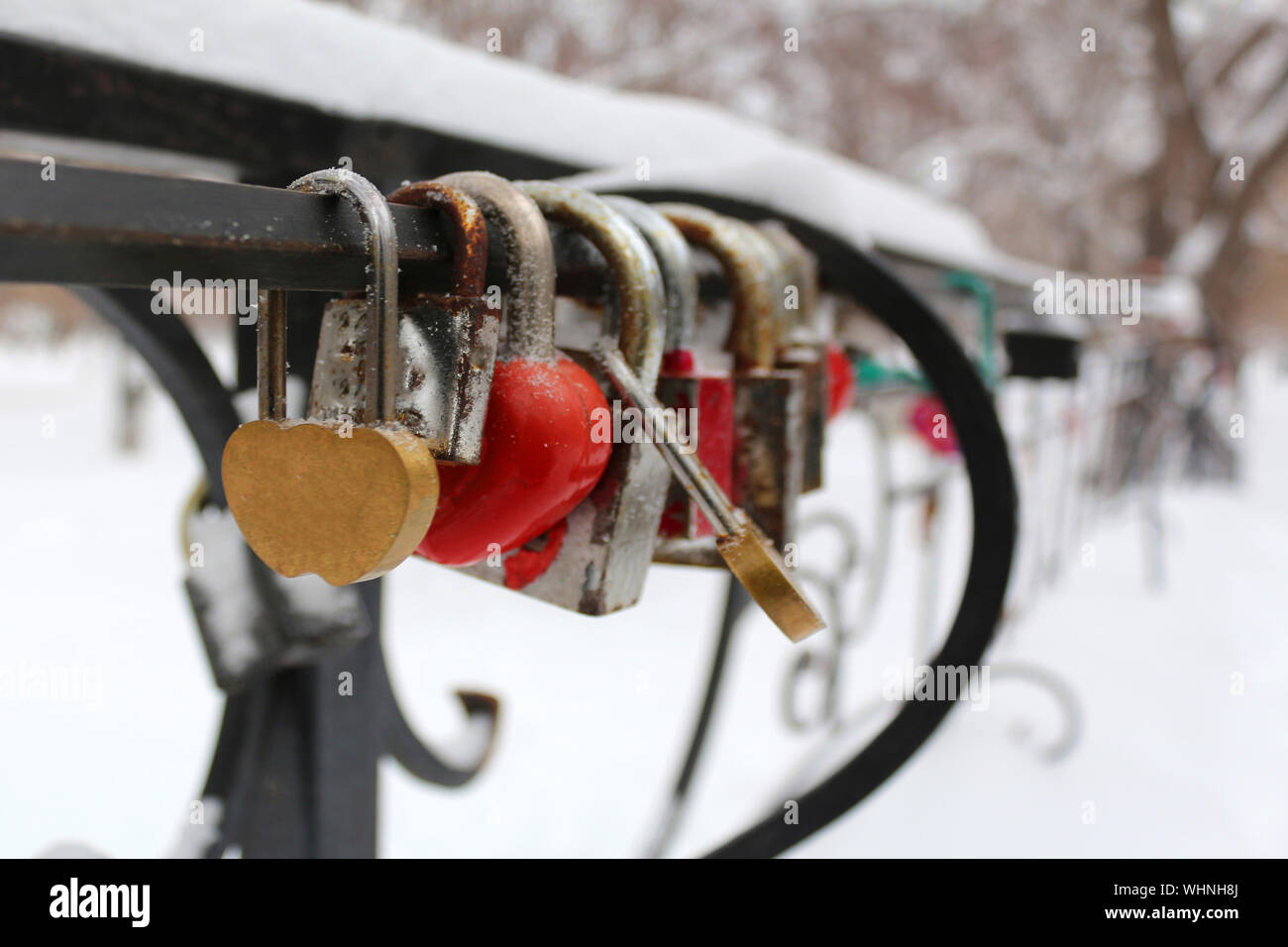 relationship, lock in shape of heart on the bridge on a wedding