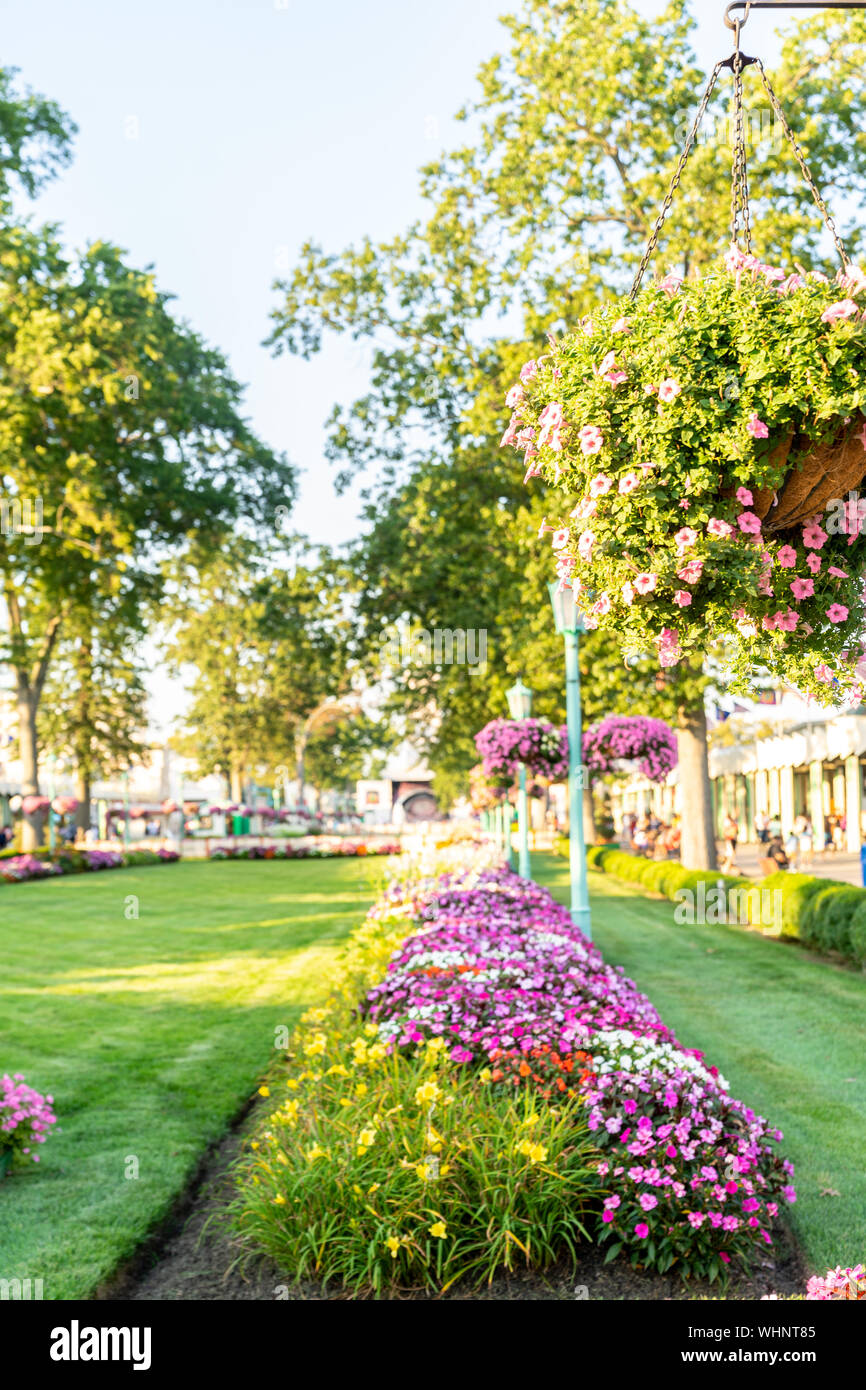 Rye new york hires stock photography and images Alamy