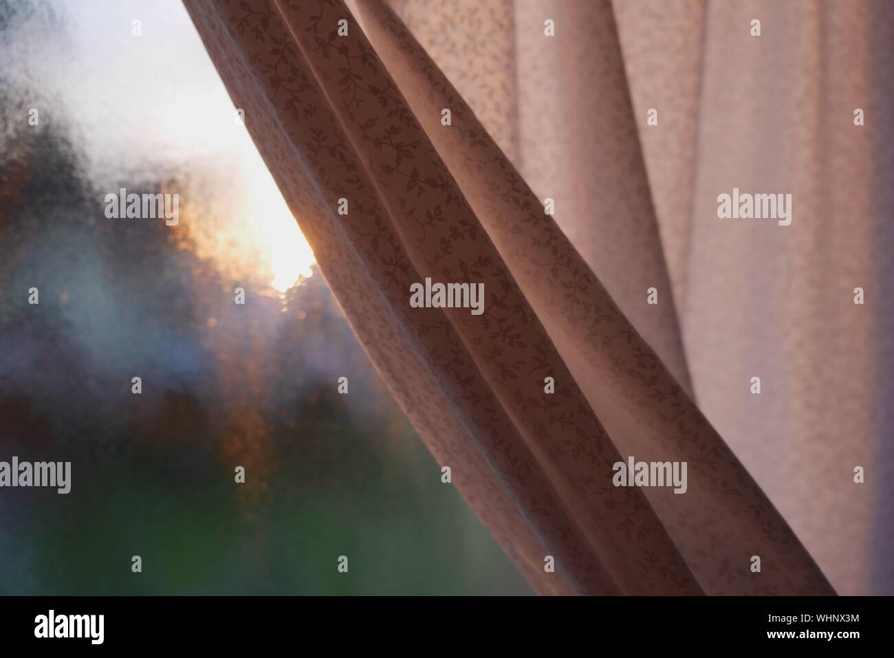 Download Frosted Glass Window High Resolution Stock Photography And Images Alamy Yellowimages Mockups