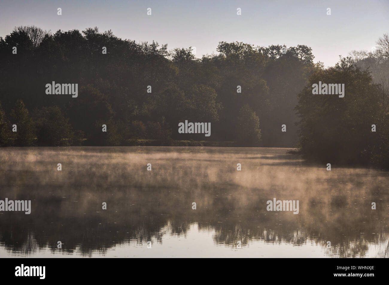 Trees Reflection In Saone River With Fog Stock Photo