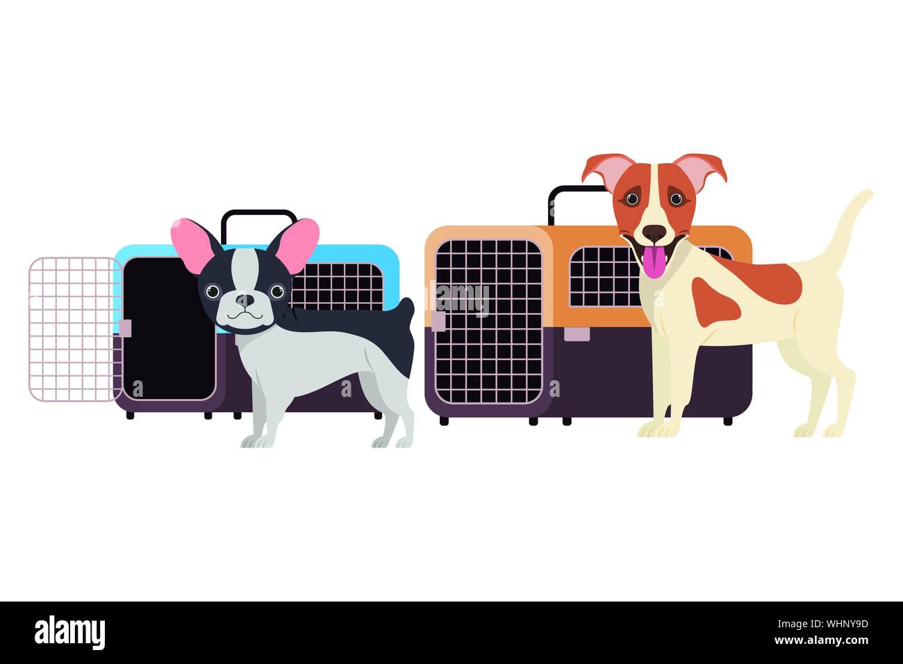 Pet dog box boxes Stock Vector Images - Alamy