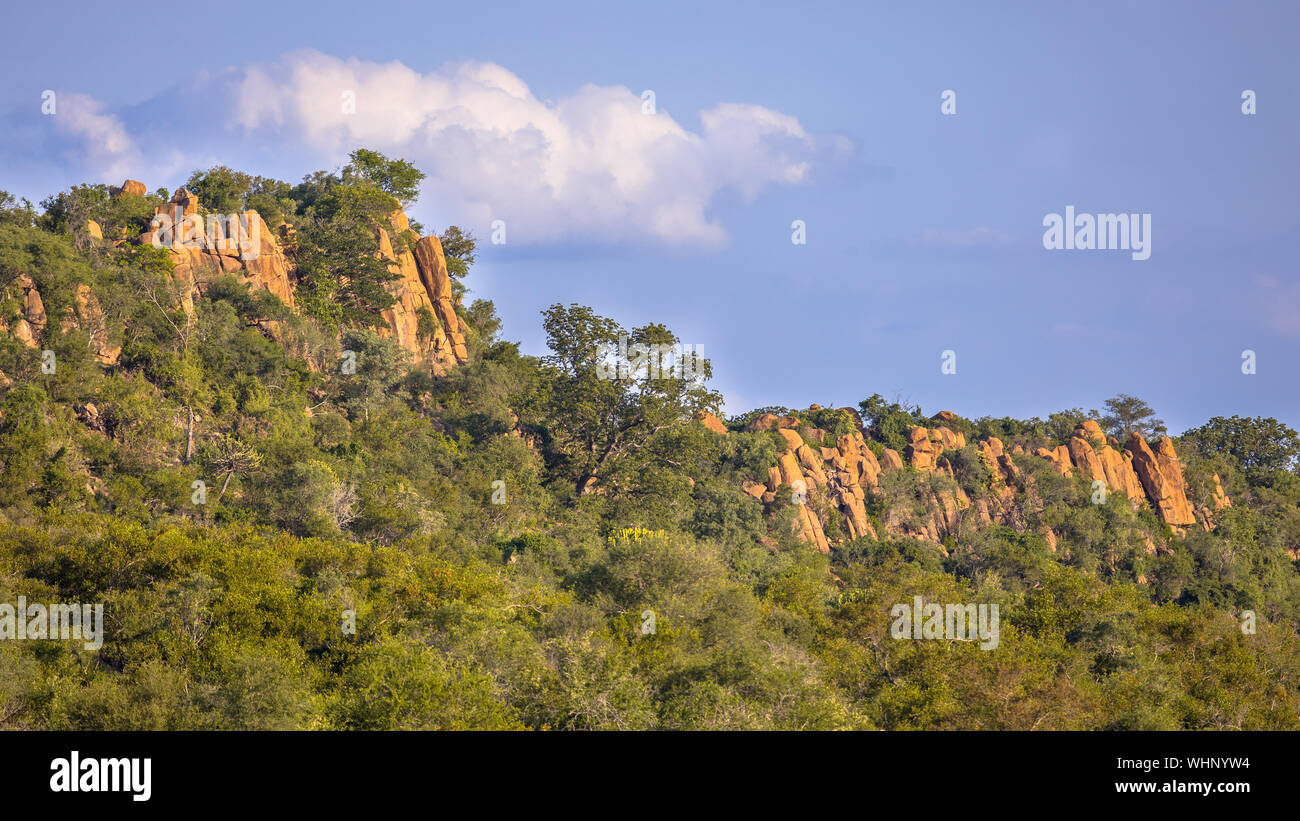 Rhyolitic rocky outcrops or koppie in Kruger national park South Africa ...