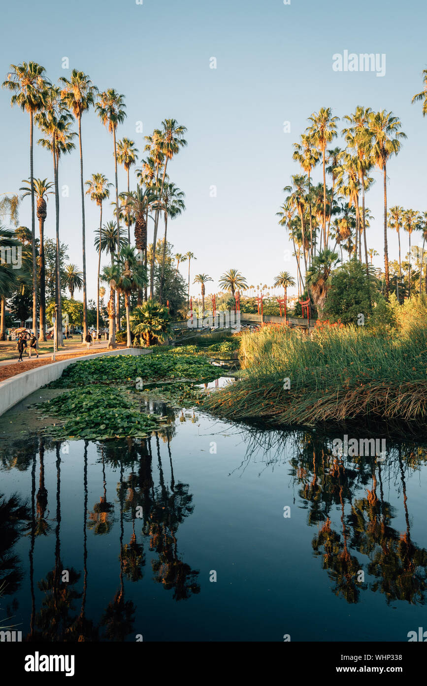 Echo Park Lake Echo Park Los Angeles California