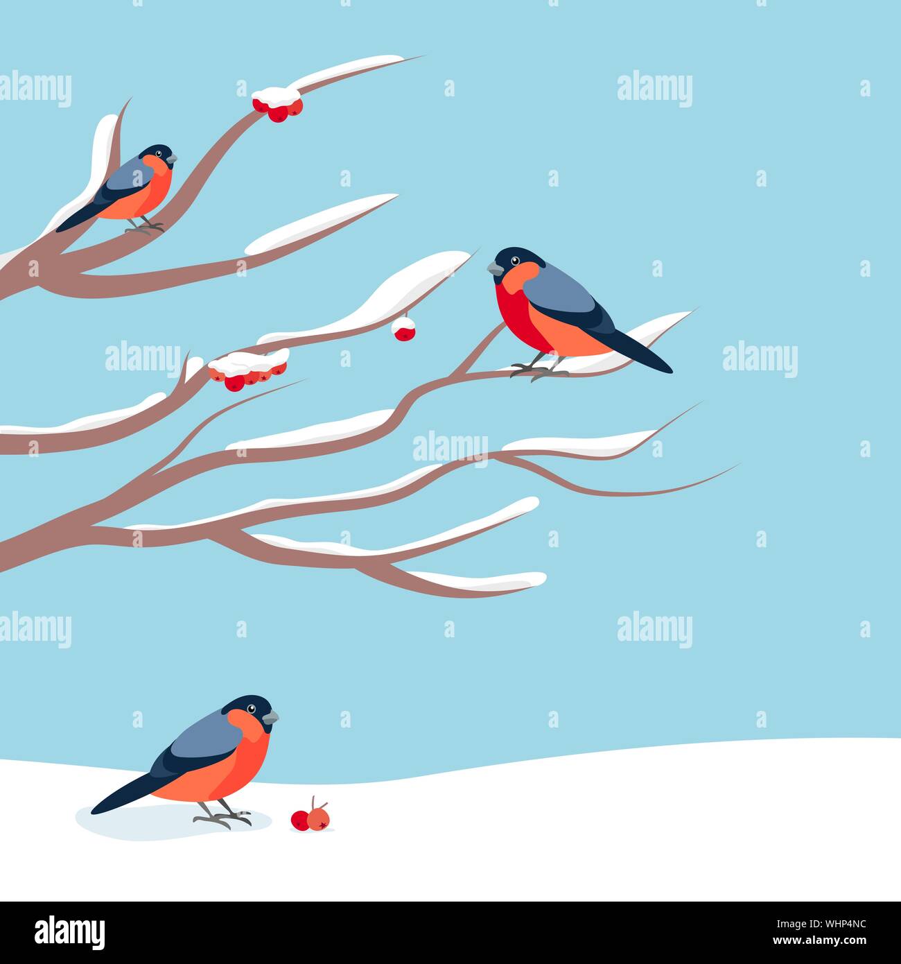 Bullfinch sitting on snow-covered branch of mountain ash. Christmas and New Year design greeting cards. Stock Vector
