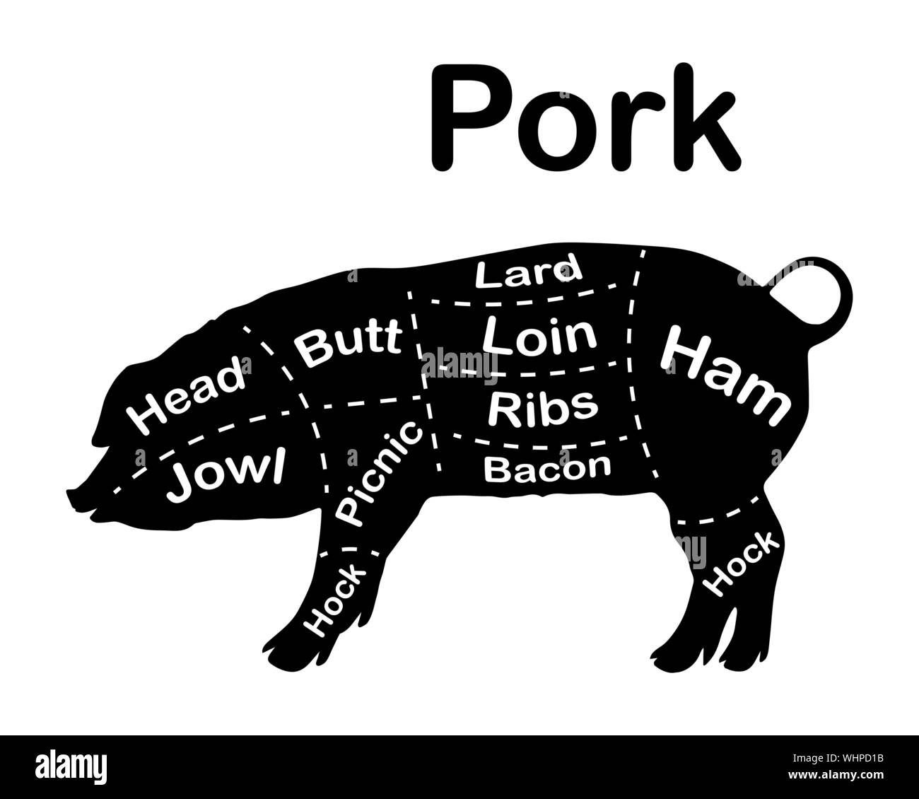 Meat cuts - pork. Diagrams for butcher shop. Scheme of pork. Animal silhouette pork. Guide for cutting. Vector illustration. Stock Vector