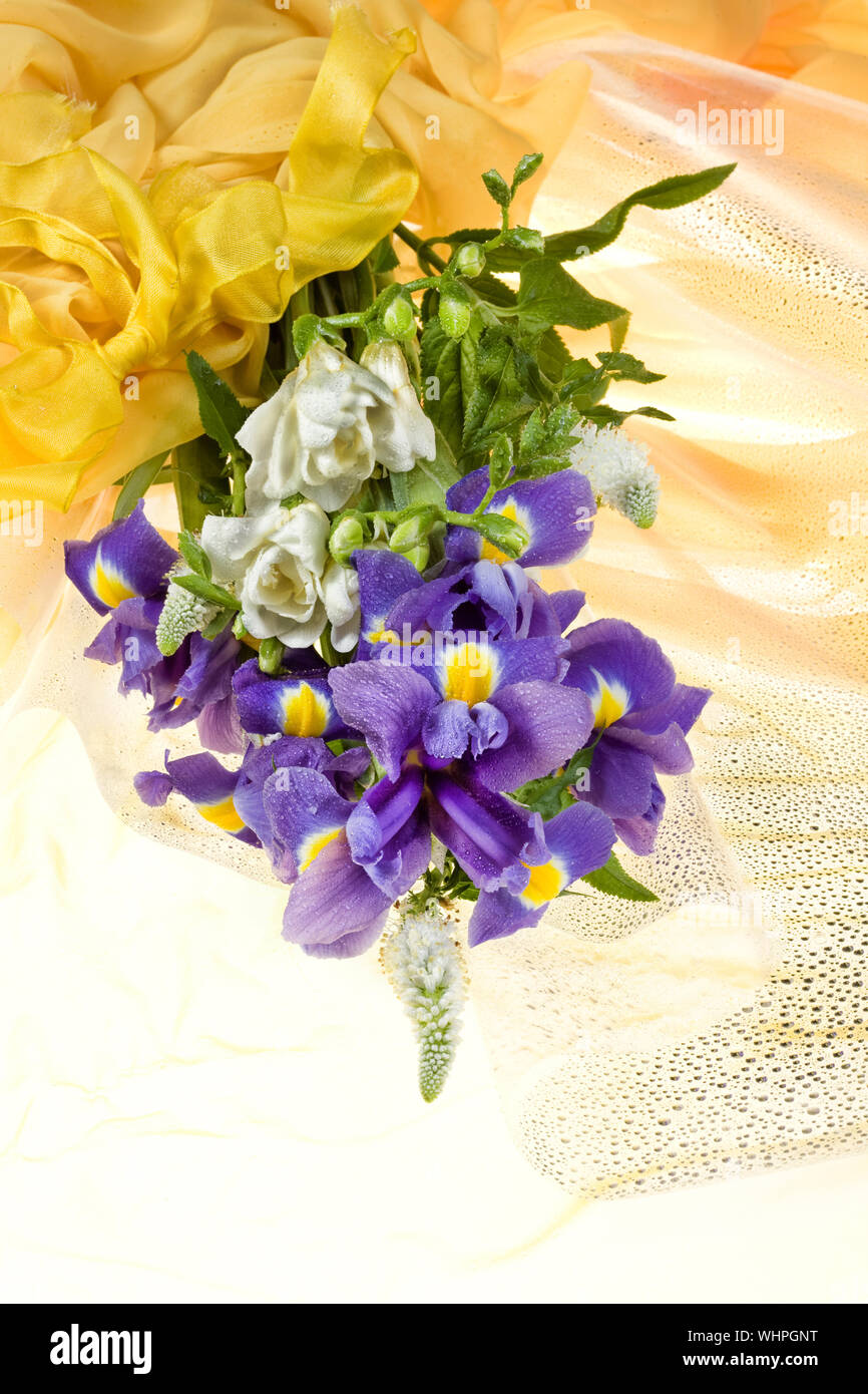 Still life with flowers on a studio background Stock Photo Alamy