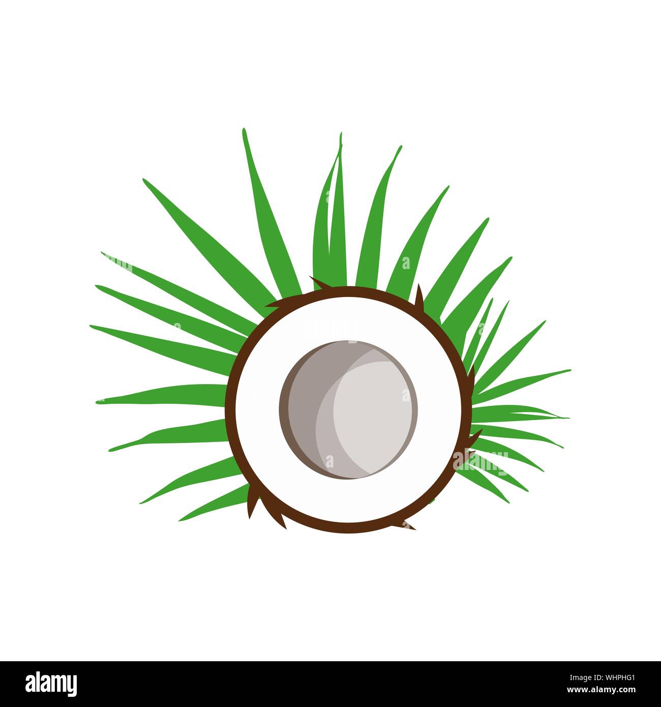 Coconuts with green leaves isolated on white background. Flat design style. Vector illustration. Stock Vector