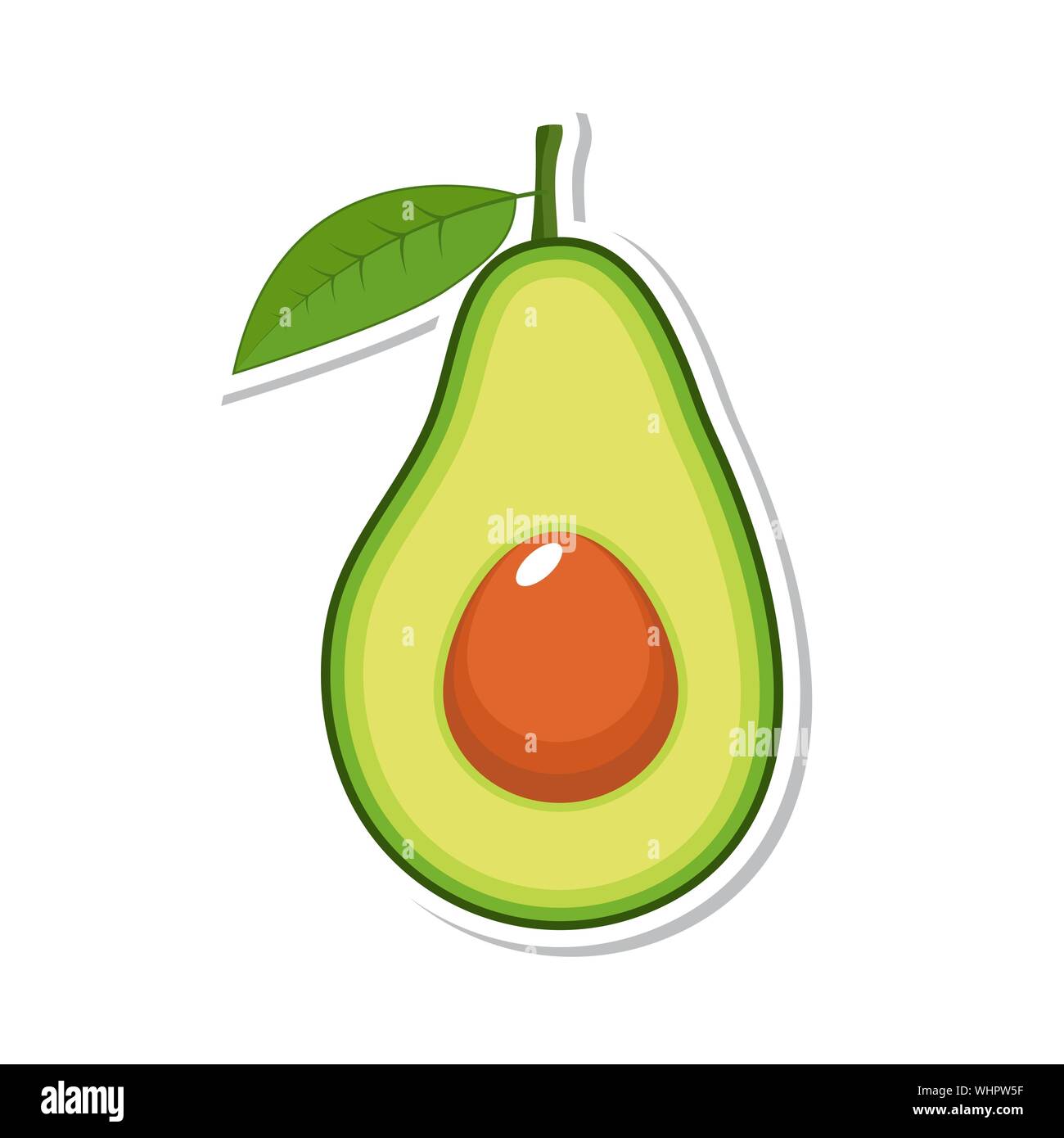 Avocado fruit. Isolated fruit on white background. Vector illustration. Stock Vector
