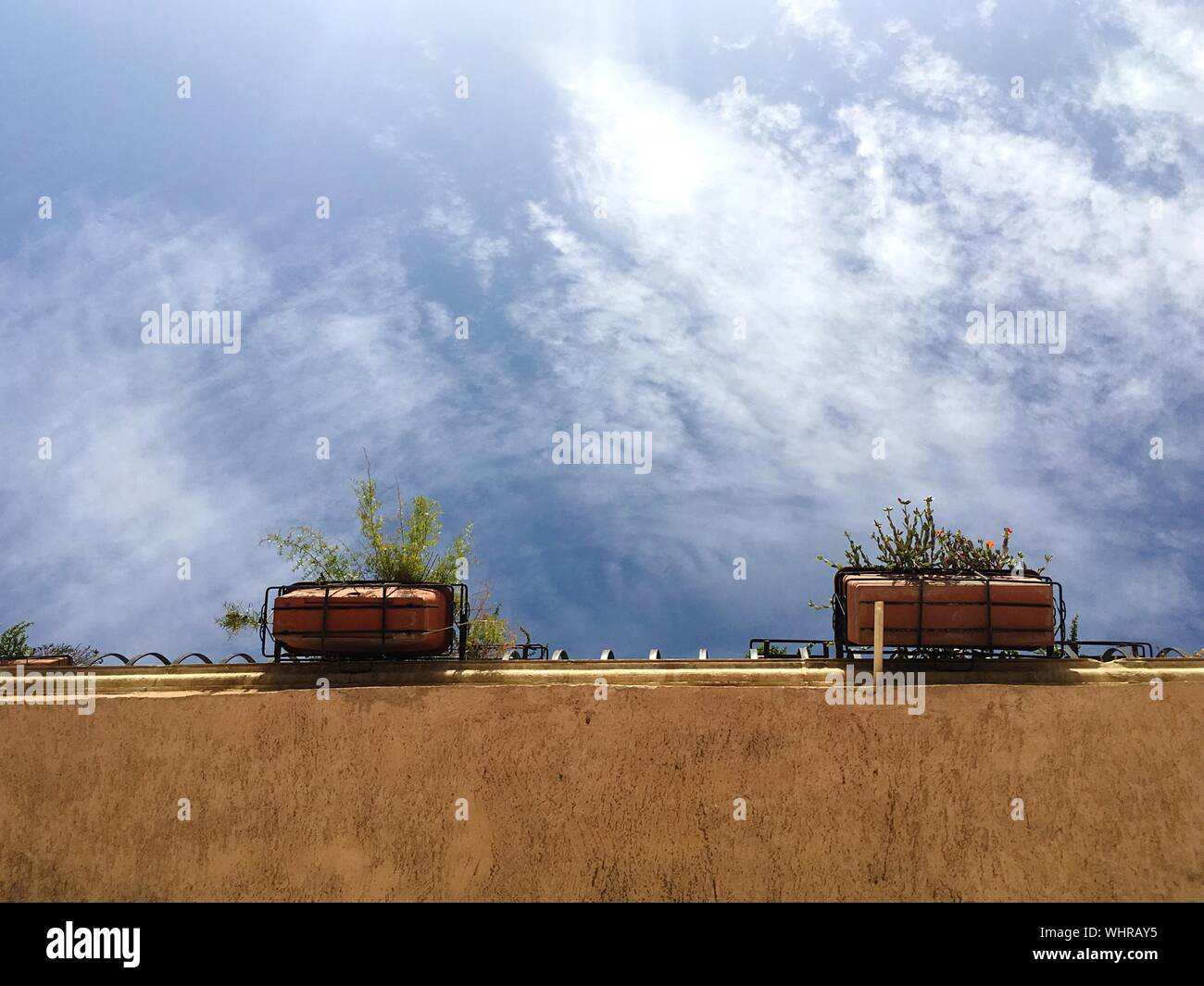 Directly Below Shot Of Potted Plants On Building Against Sky Stock Photo