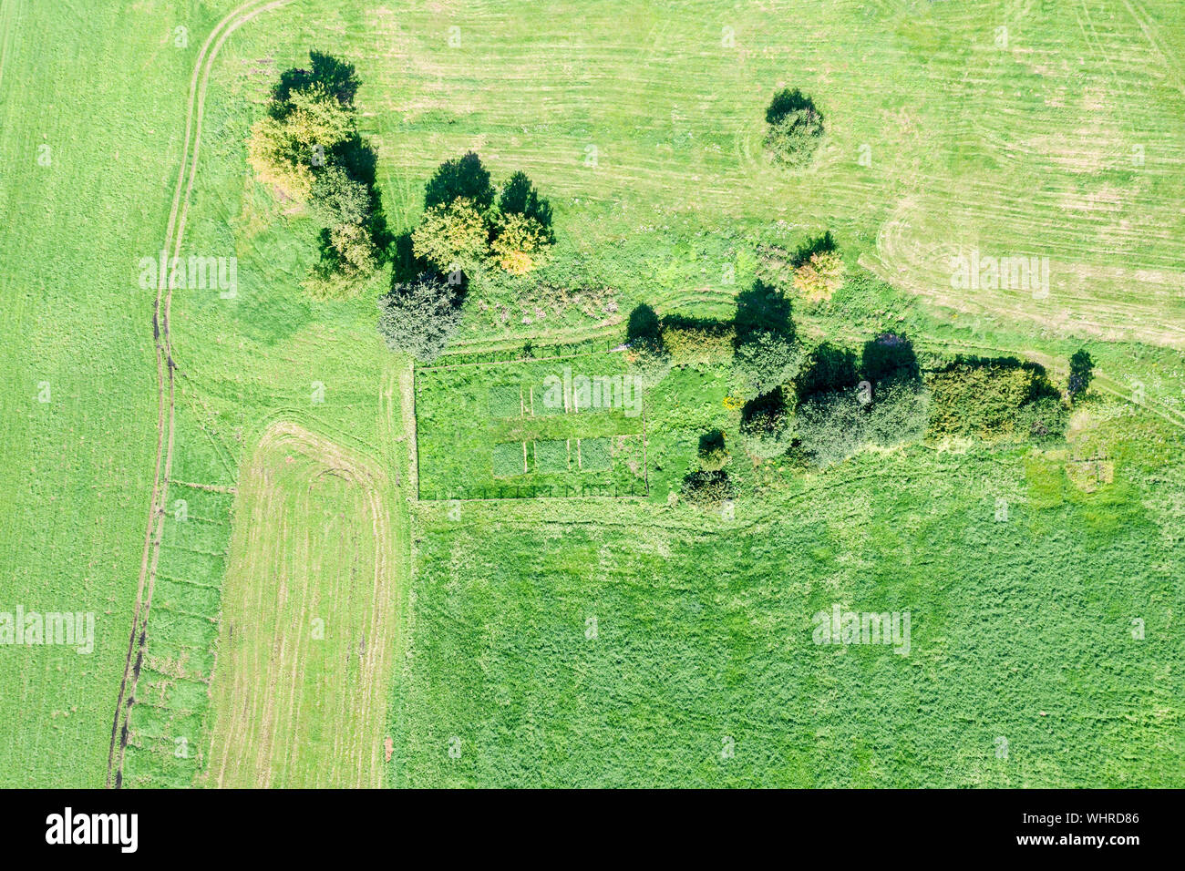 aerial top view photo from flying drone of green field in countryside ...