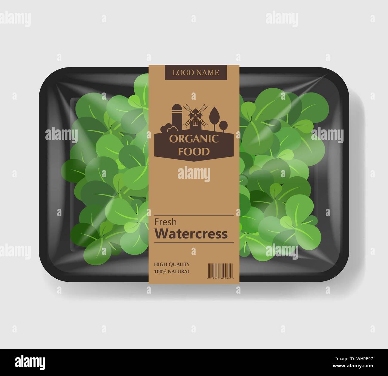 Download Watercress Salad Leaves With Plastic Tray Container With Cellophane Cover Retro Design Mockup Template For Your Salad Design Plastic Food Container Stock Vector Image Art Alamy