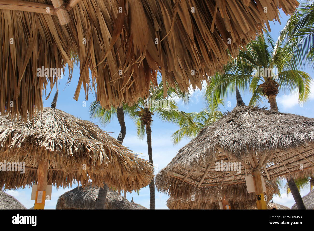 Palm Thatched Roof High Resolution Stock Photography And Images Alamy