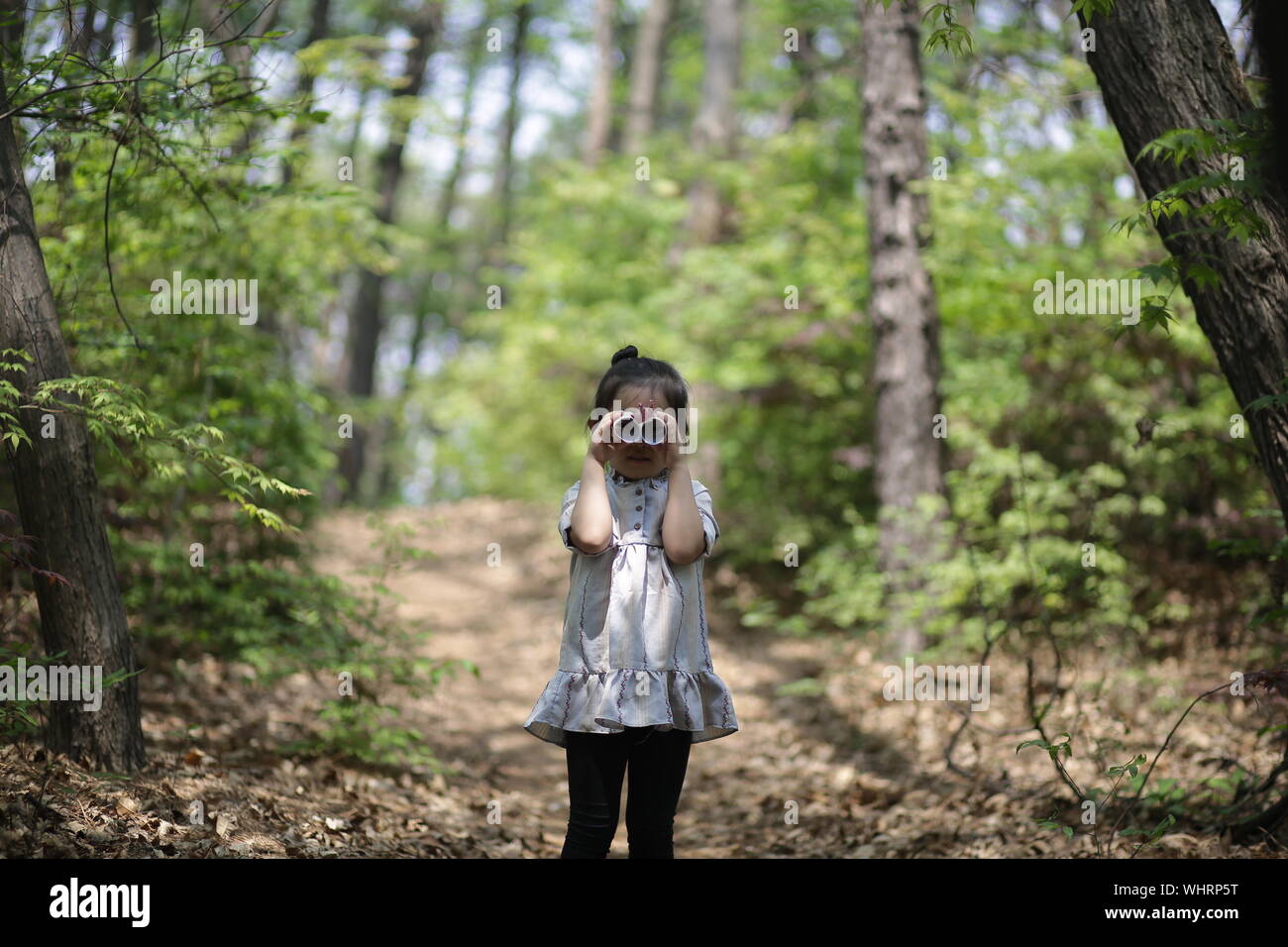 Smiling girl standing in forest hi-res stock photography and images - Alamy