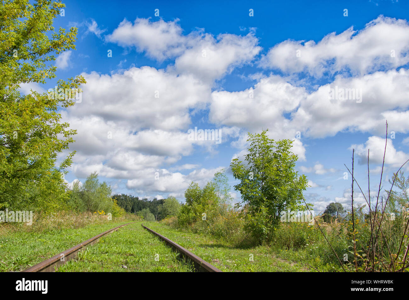 A railway through the summer green fields. Beautiful green railway tree landscape sky. Beautiful landscape and railway. Railway transport. Stock Photo