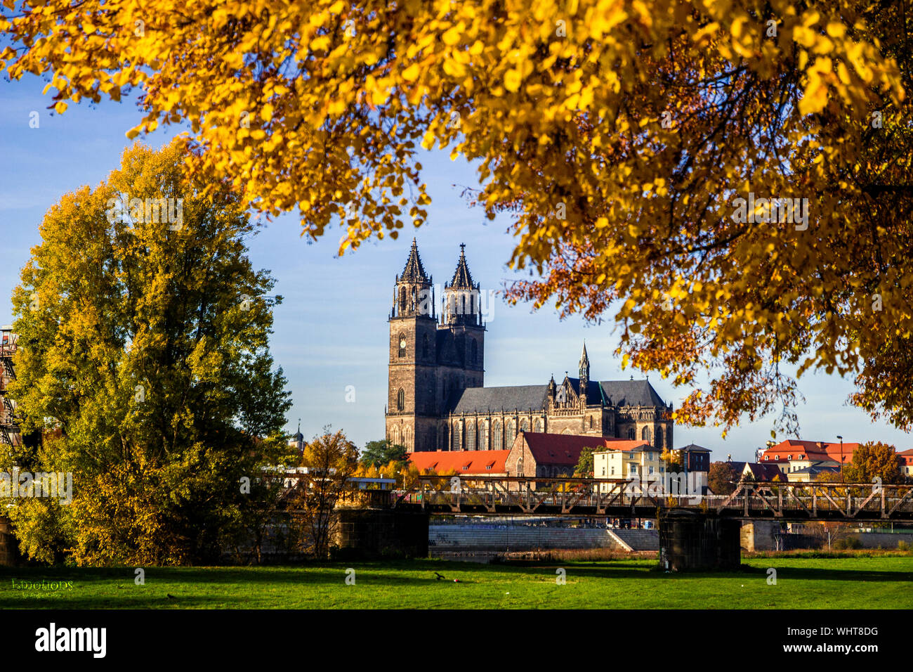 Magdeburg Cathedral In City During Autumn Stock Photo