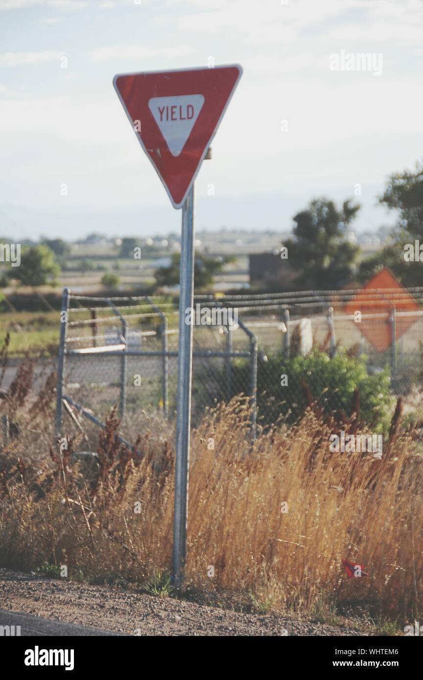 Yield Sign High Resolution Stock Photography And Images Alamy Yield Sign High Resolution Stock Photography And Images Alamy