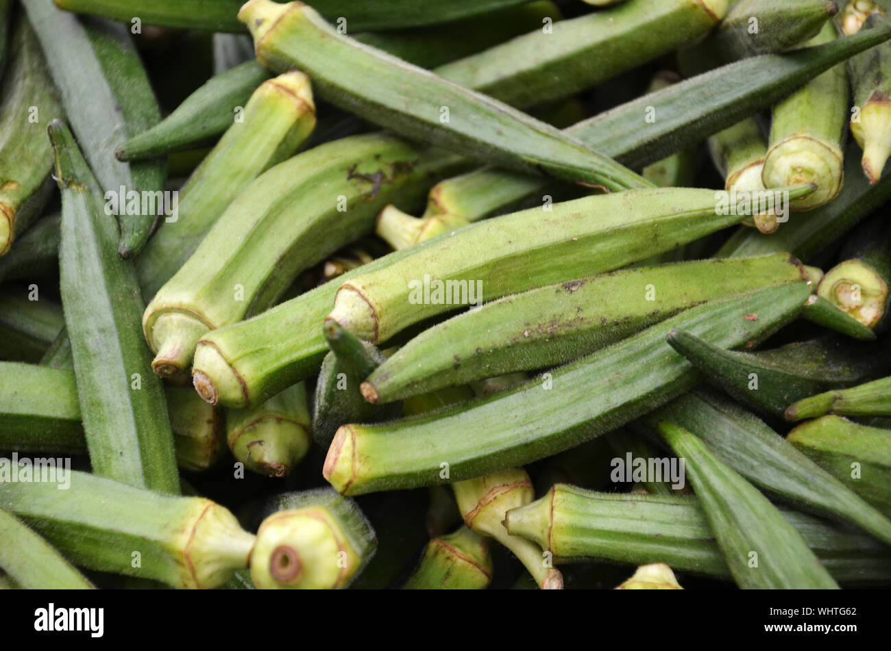 Full Frame Shot Of Okra Stock Photo