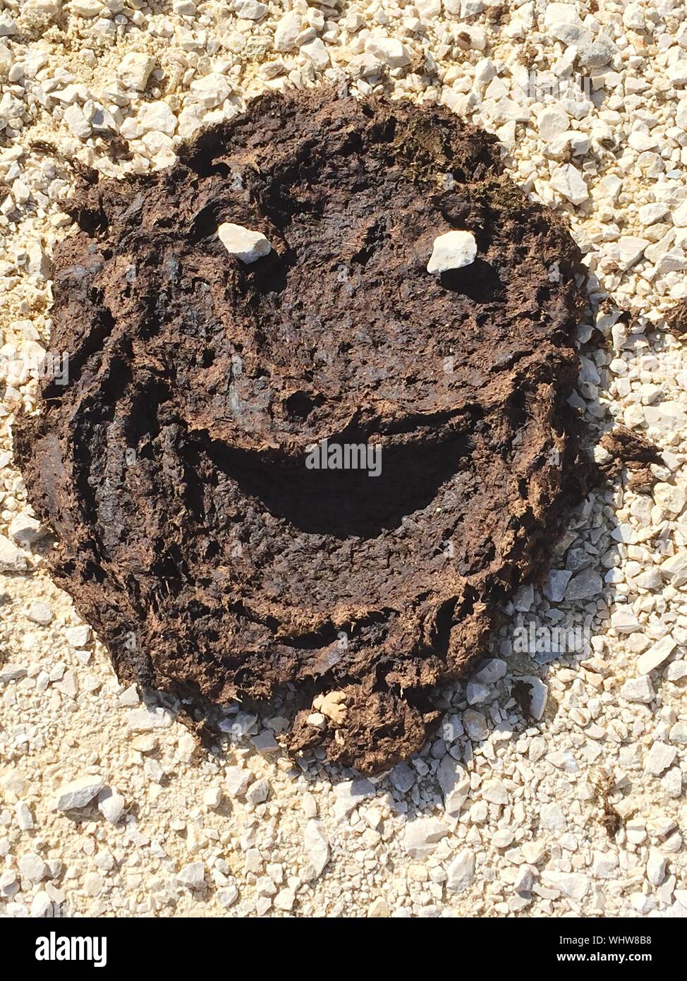Cow dung with face hi-res stock photography and images - Alamy