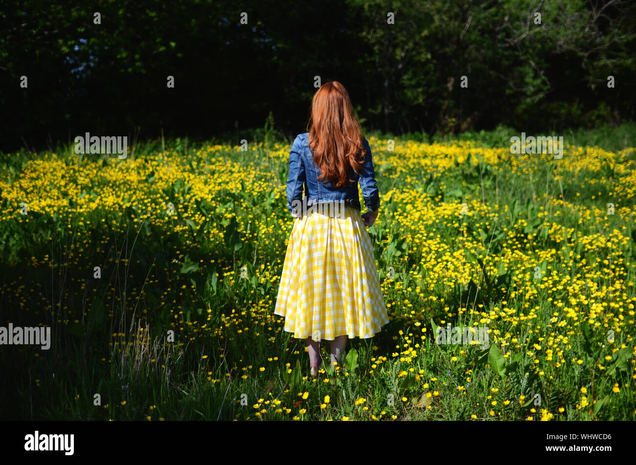 Rear View Of A Red Haired Young Woman On Flower Meadow Stock Photo