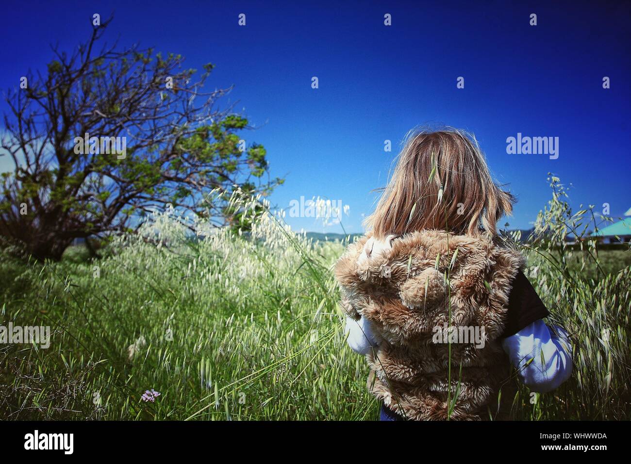 Rear View Of Girl Standing Amidst Plant Field Stock Photo