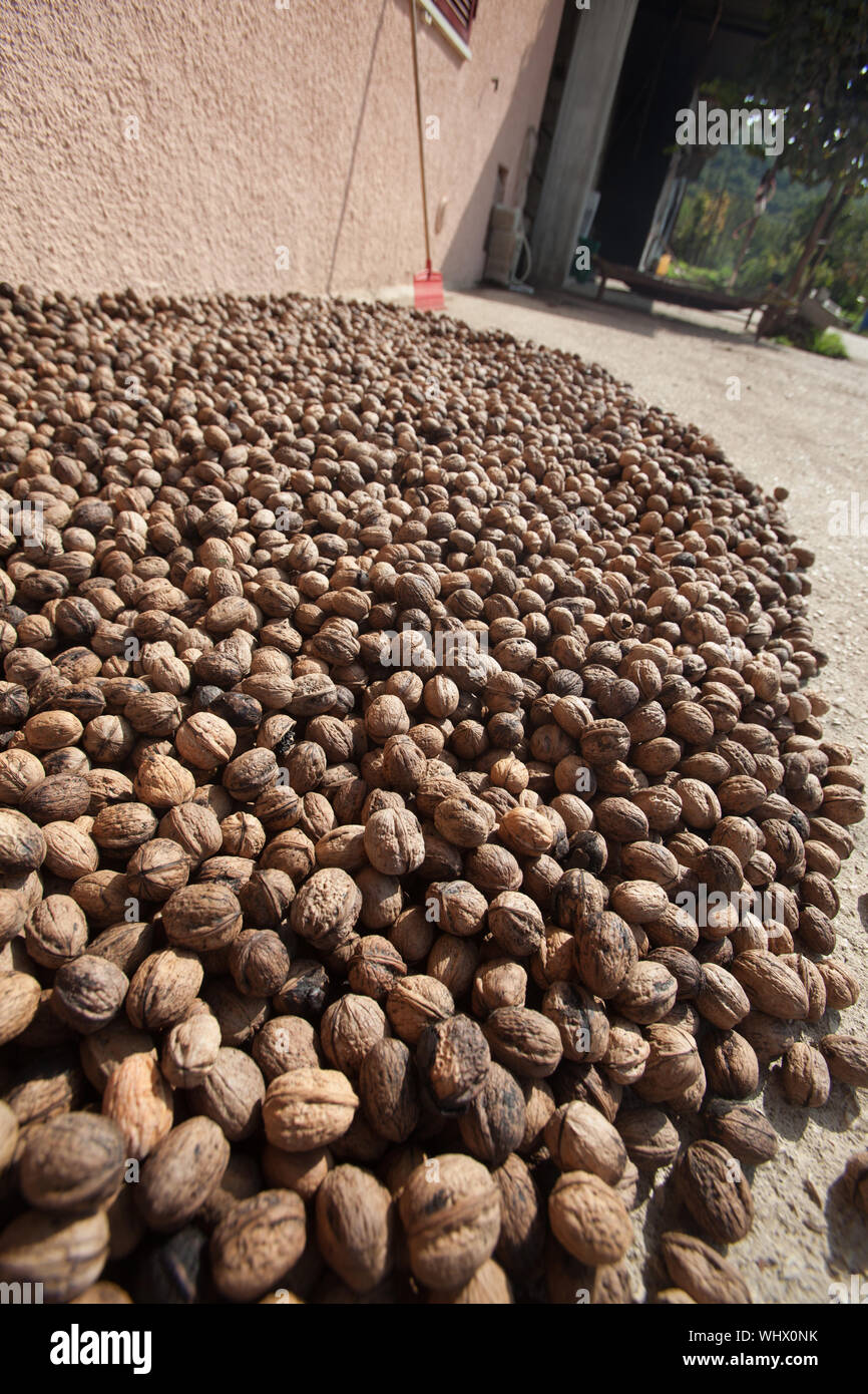 Stack house hi-res stock photography and images - Alamy