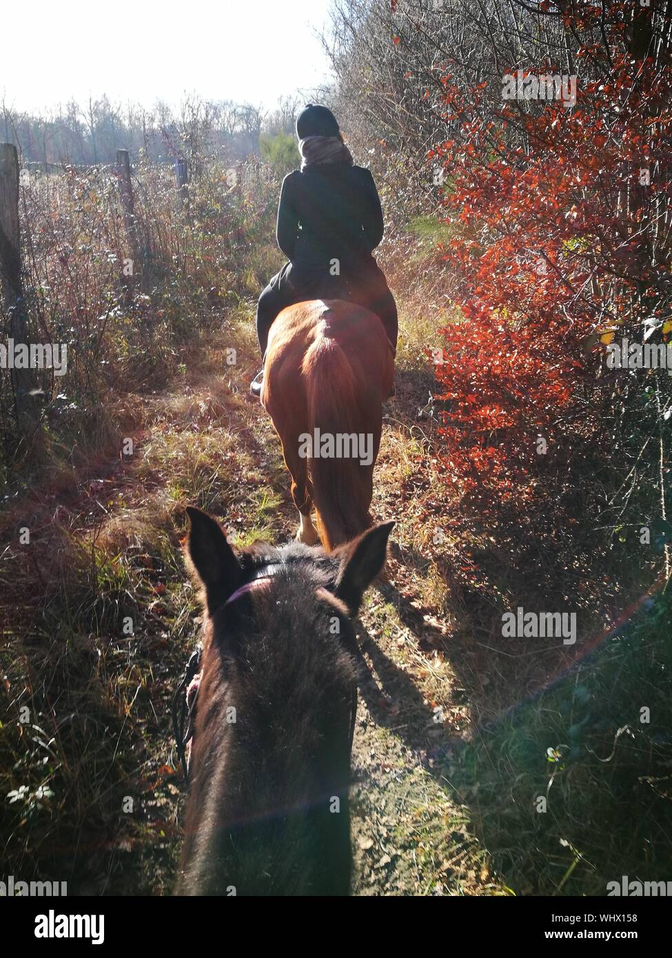 Mature Man Riding Hi res Stock Photography And Images Alamy mature-man-riding-hi-res-stock-photography-and-images-alamy