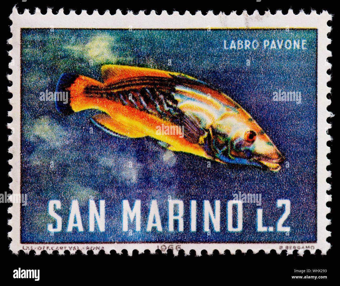 San Marino Postage Stamp - Marine Life Stock Photo
