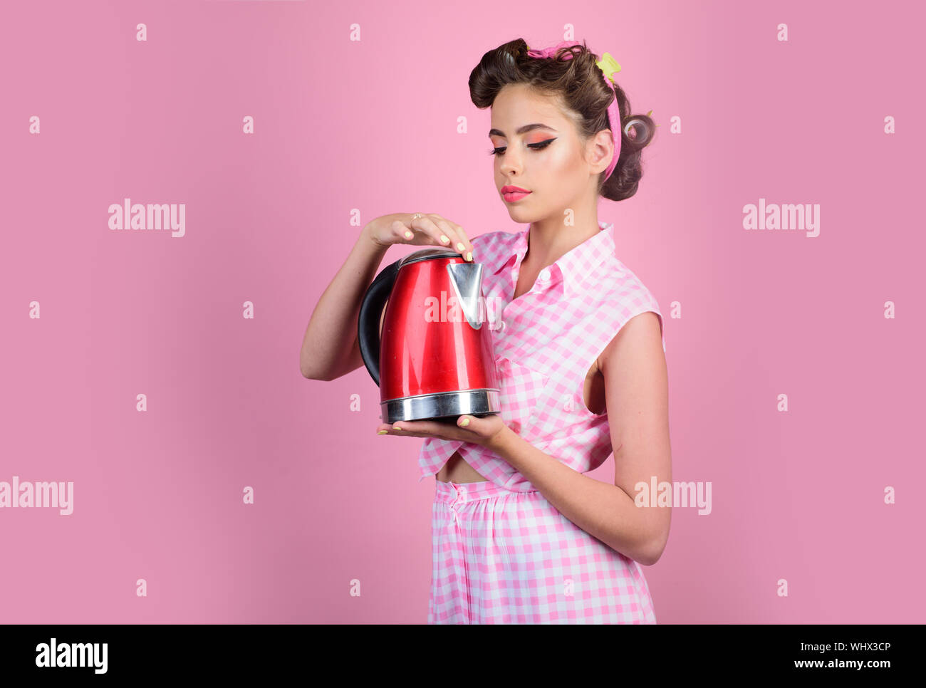 Perfect Housewife Pin Up Woman With Trendy Makeup Pinup Girl